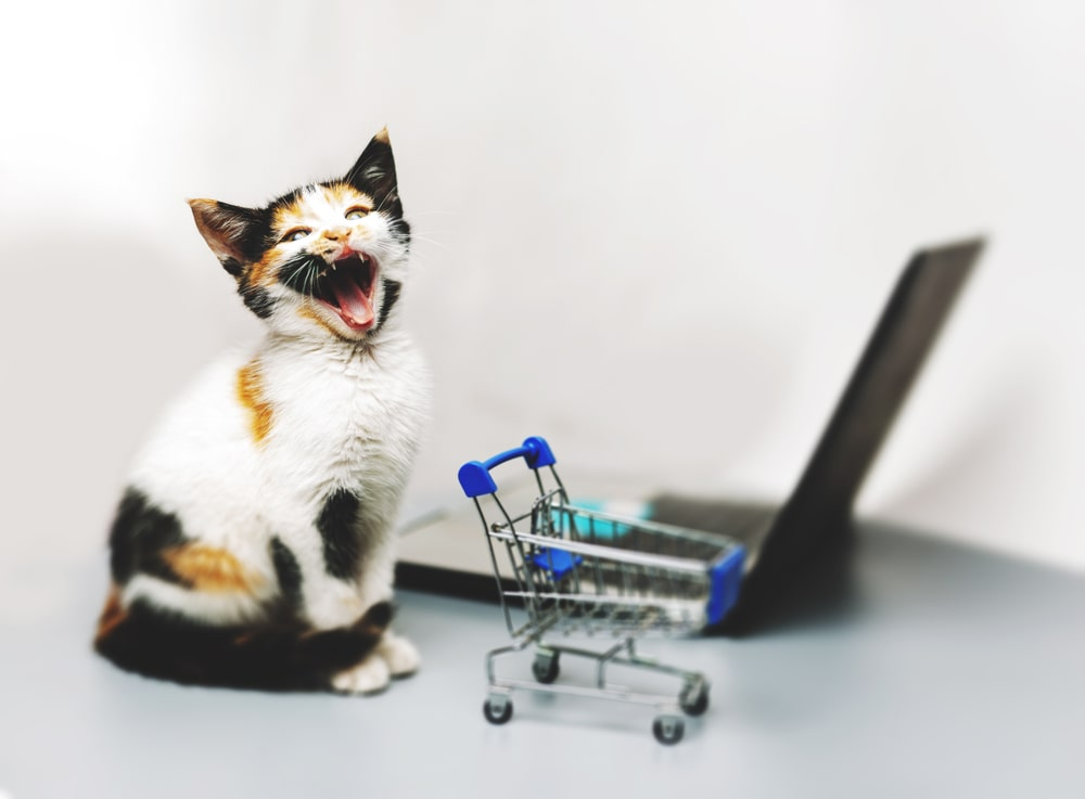 a cat sitting next to a small shopping cart
