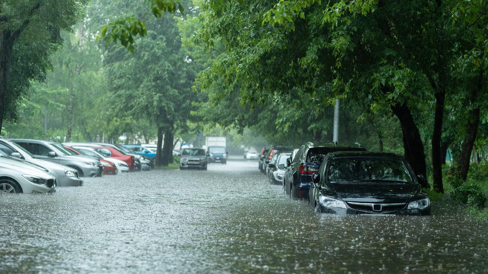 Une rue inondée, bordée d'arbres, avec des voitures partiellement submergées.