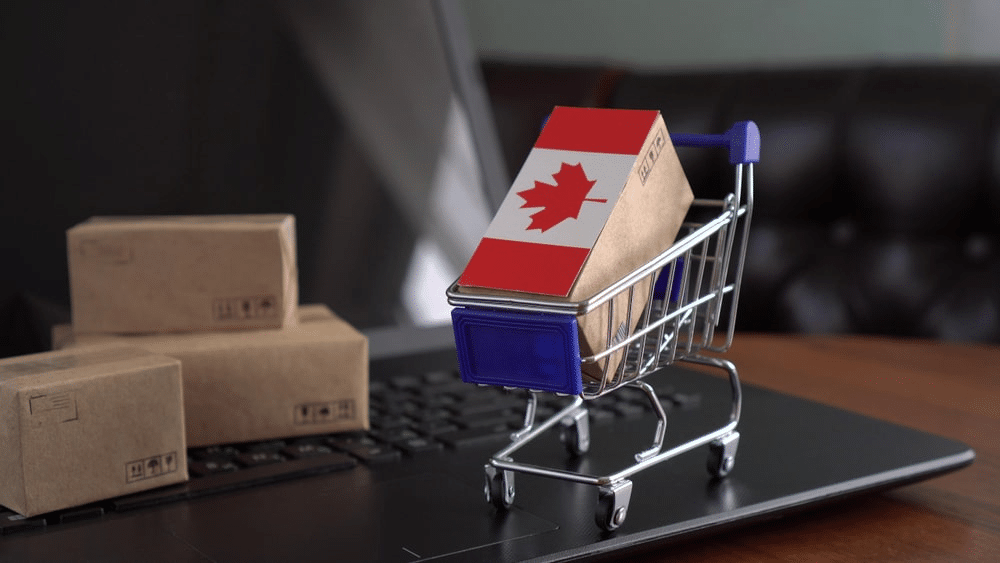 Le commerce électronique au Canada