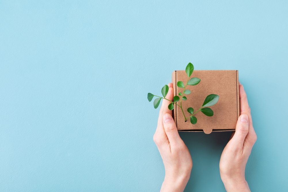 A plant growing out of a box 