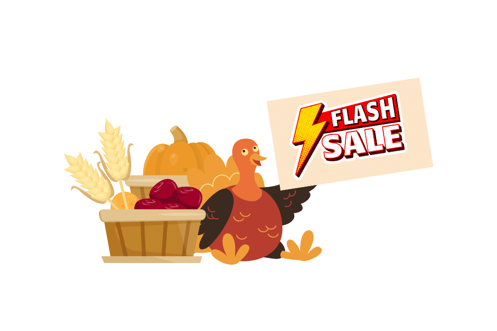 A turkey showing a flash sale